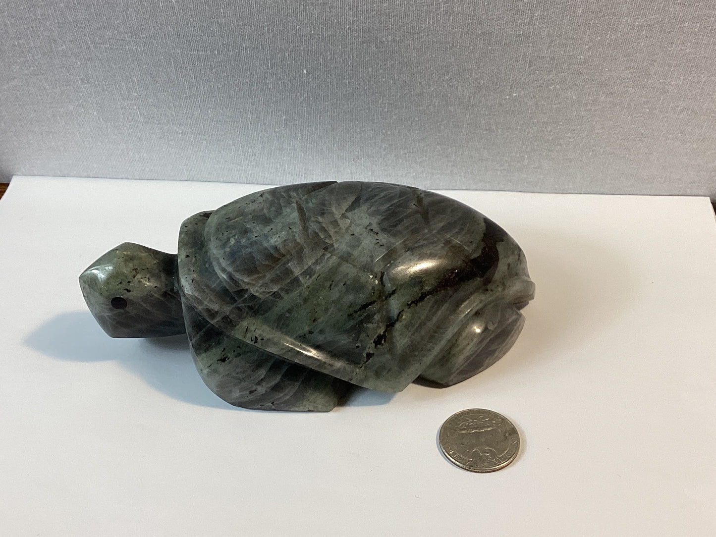 LABRADORITE TURTLE -Protection, Intuition, Transformation