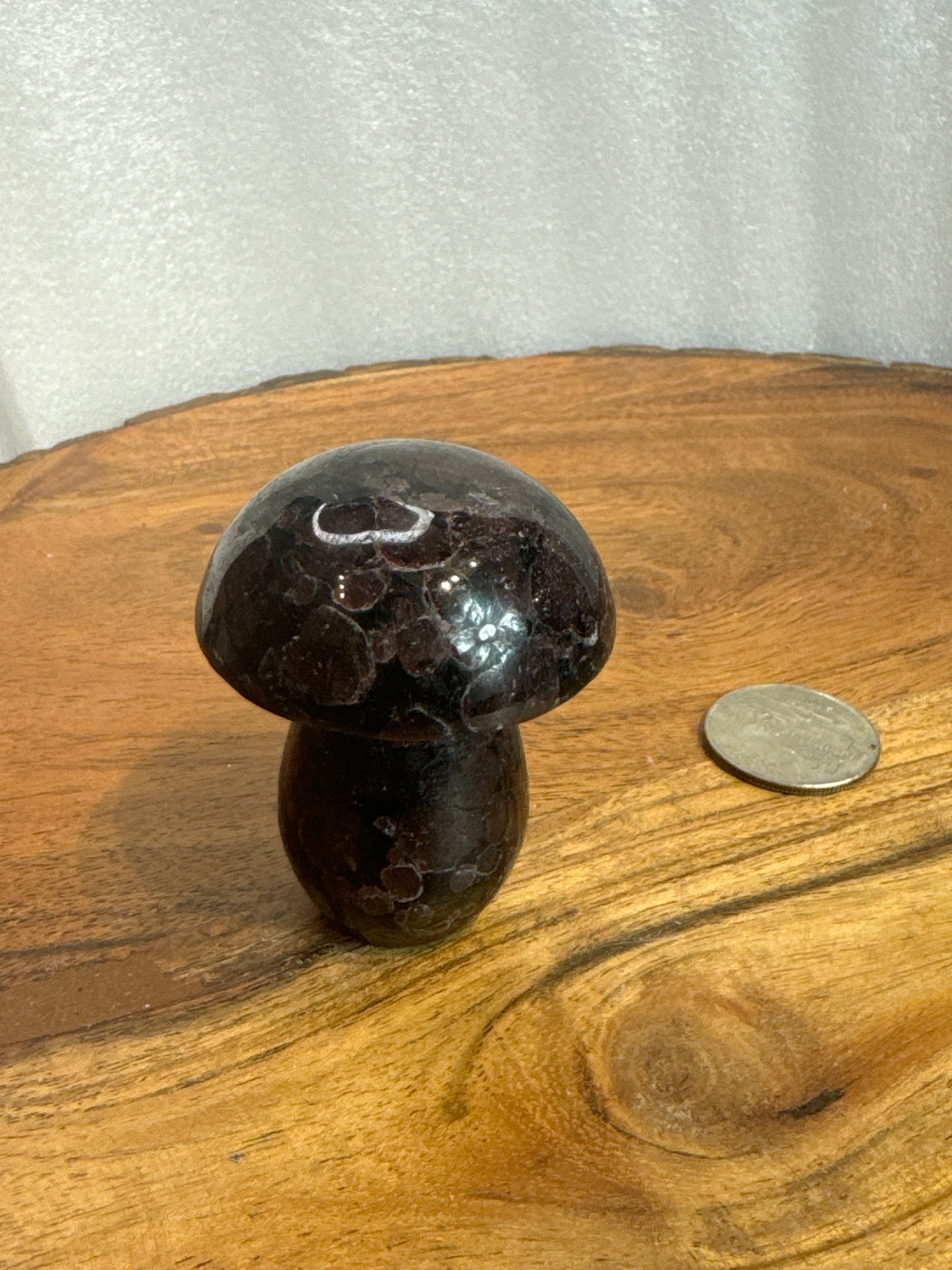 GARNET MUSHROOM-Passion, Strength, Grounding