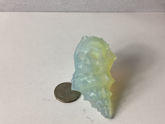 SEASHELL SKULL-Transformation, Wisdom, and Oceanic Energy