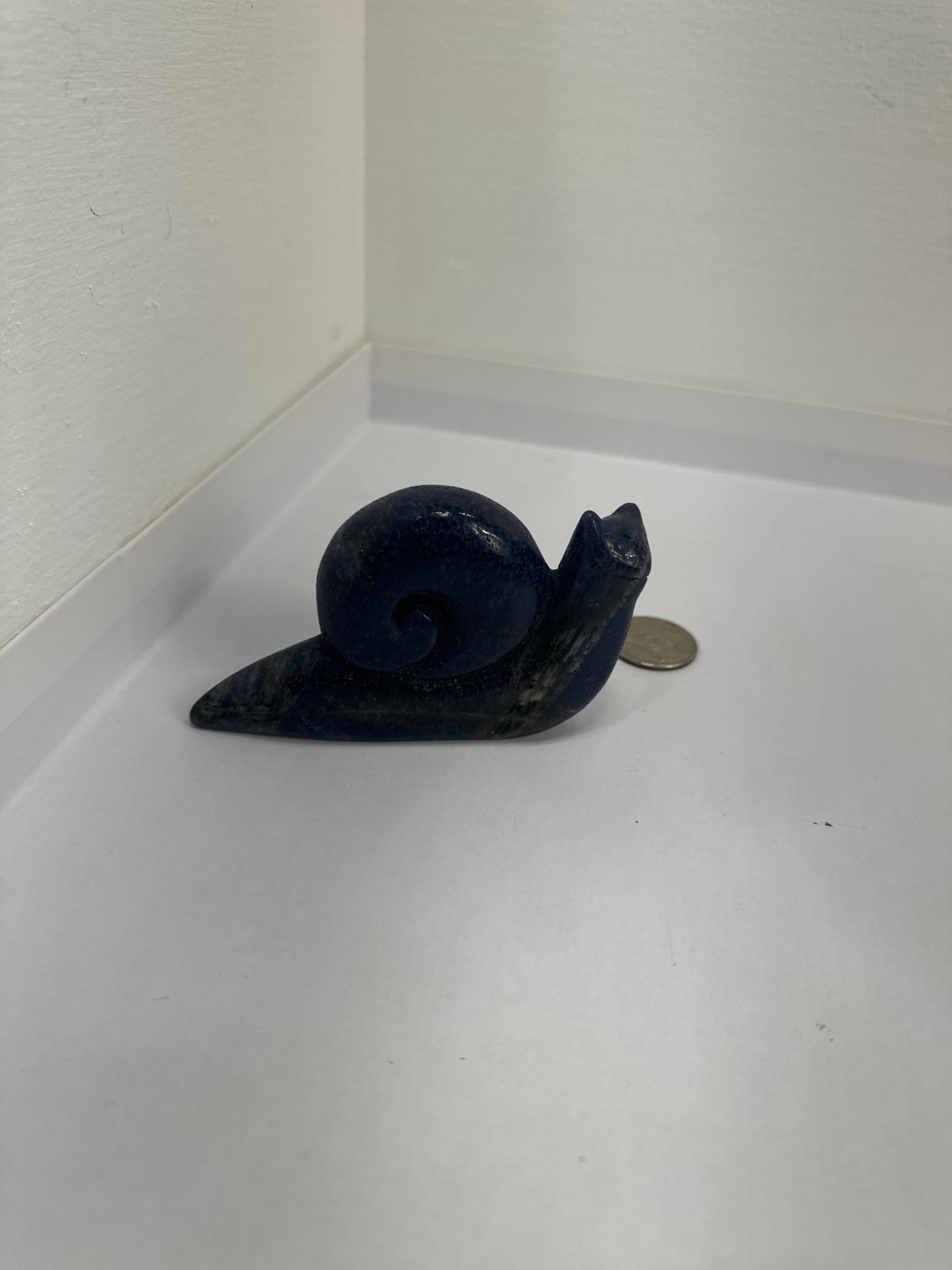 SNAIL CARVINGS- Patience, Persistence, and Grounding