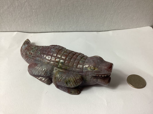 OCEAN JASPER ALLIGATOR