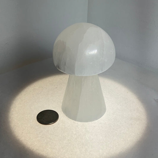 SELENITE MUSHROOM- Clarity, Cleansing, Spiritual Connection