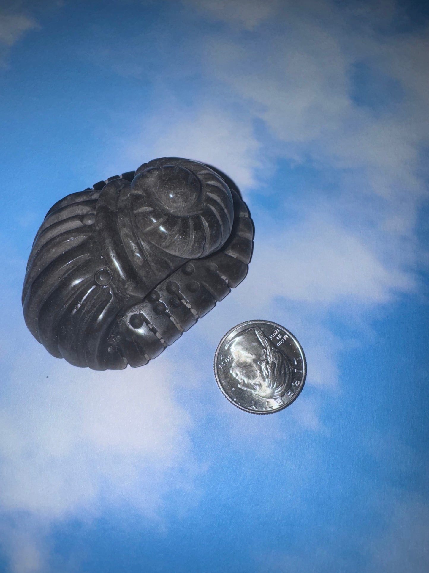 SILVER OBSIDIAN SEA LIFE CARVINGS-Protection, Intuition, Tranquility