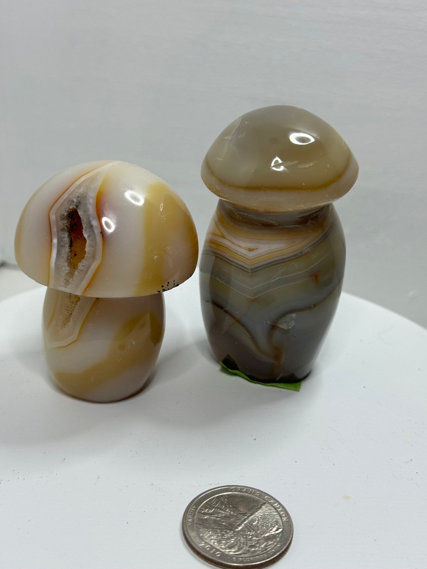 MEDIUM MUSHROOM CARVING