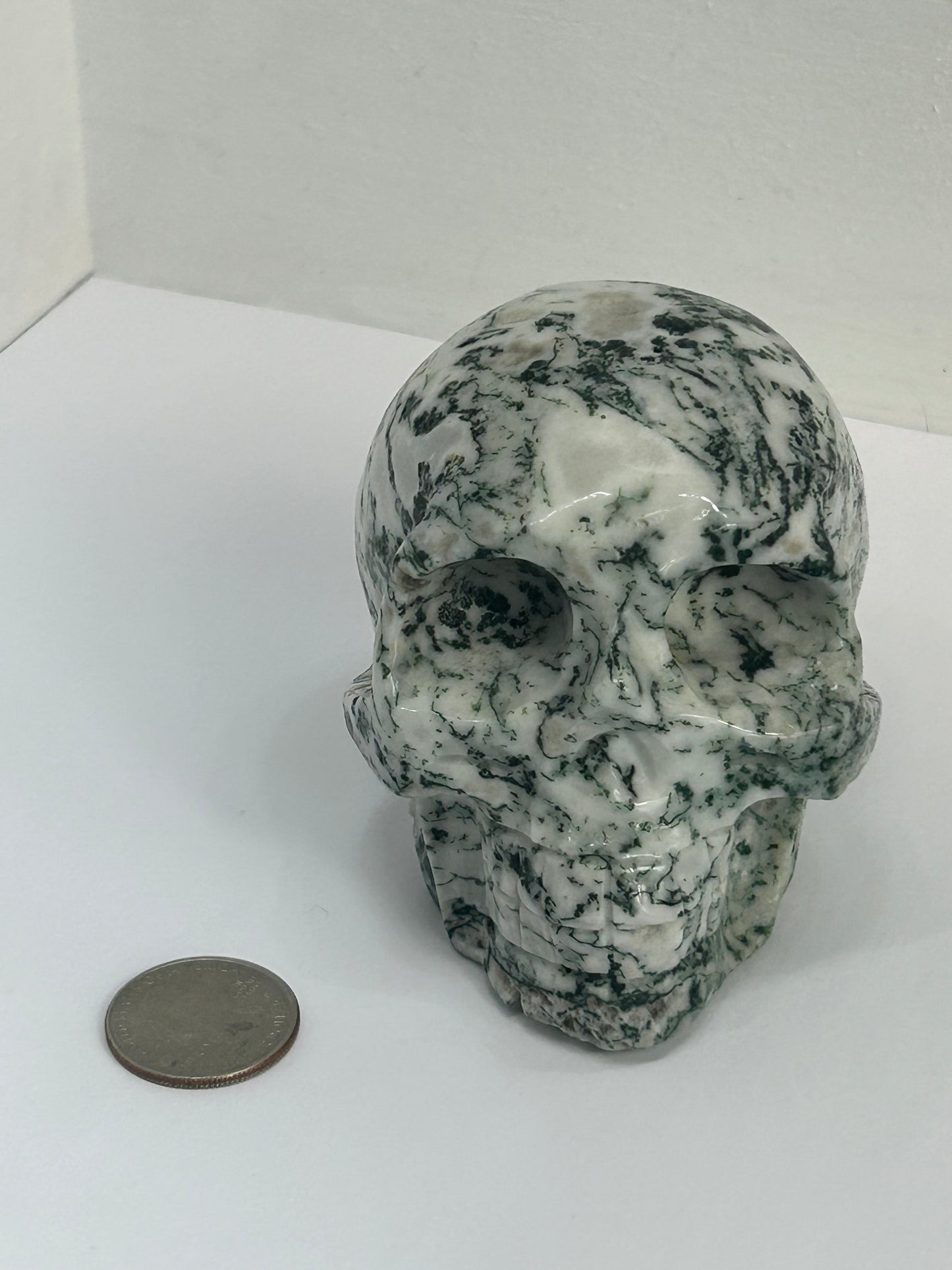 MOSS AGATE SKULL- abundance, growth, emotional healing