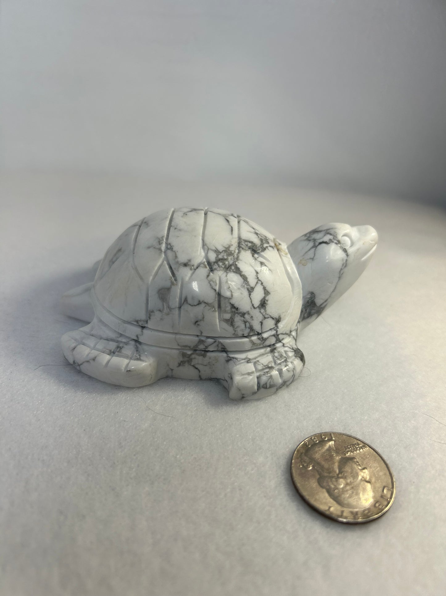 HOWLITE TURTLE CARVING-intuition, protection, and spiritual awakening