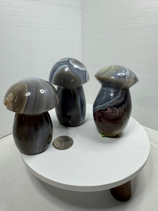 BANDED AGATE MUSHROOM -stability, protection, and balance