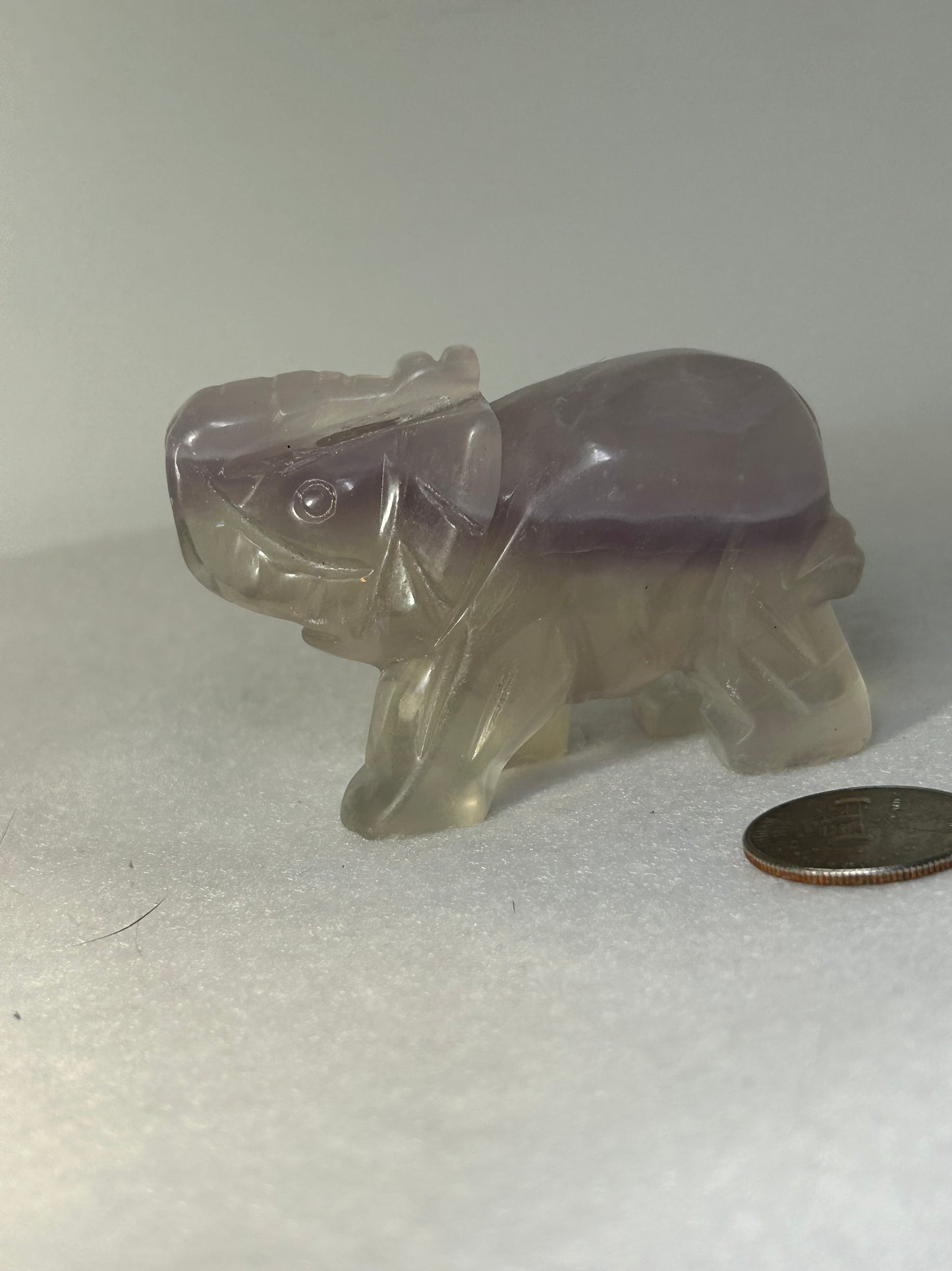 FLUORITE ELEPHANT carving-clarity, focus, growth