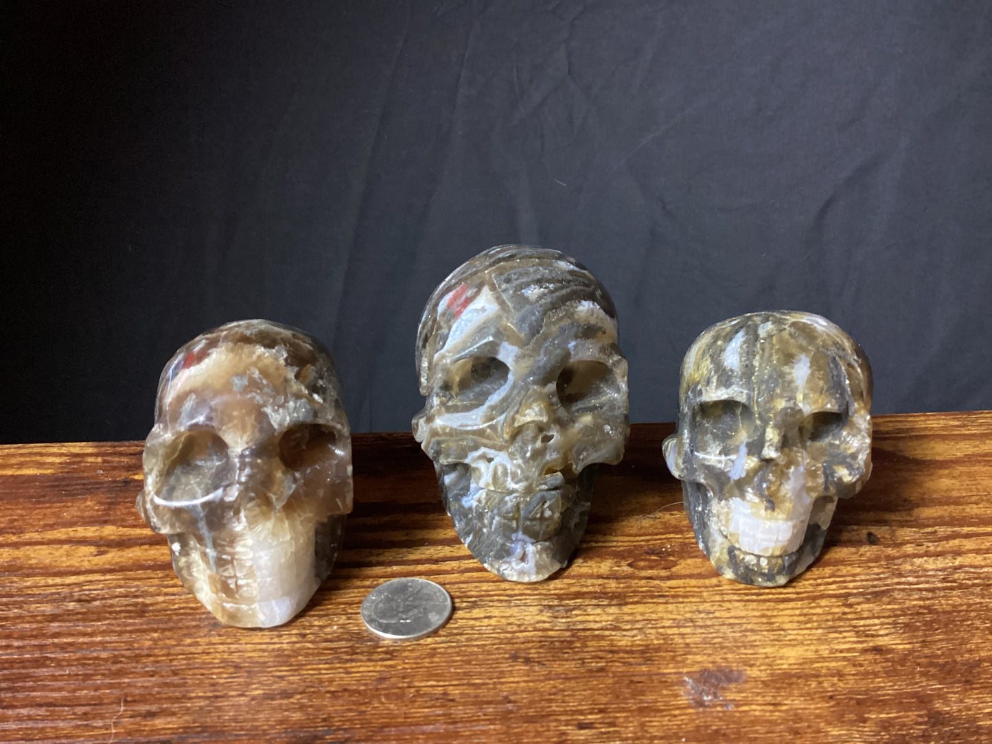 AMBER SKULLS-Wisdom, Healing, and Ancient Energy
