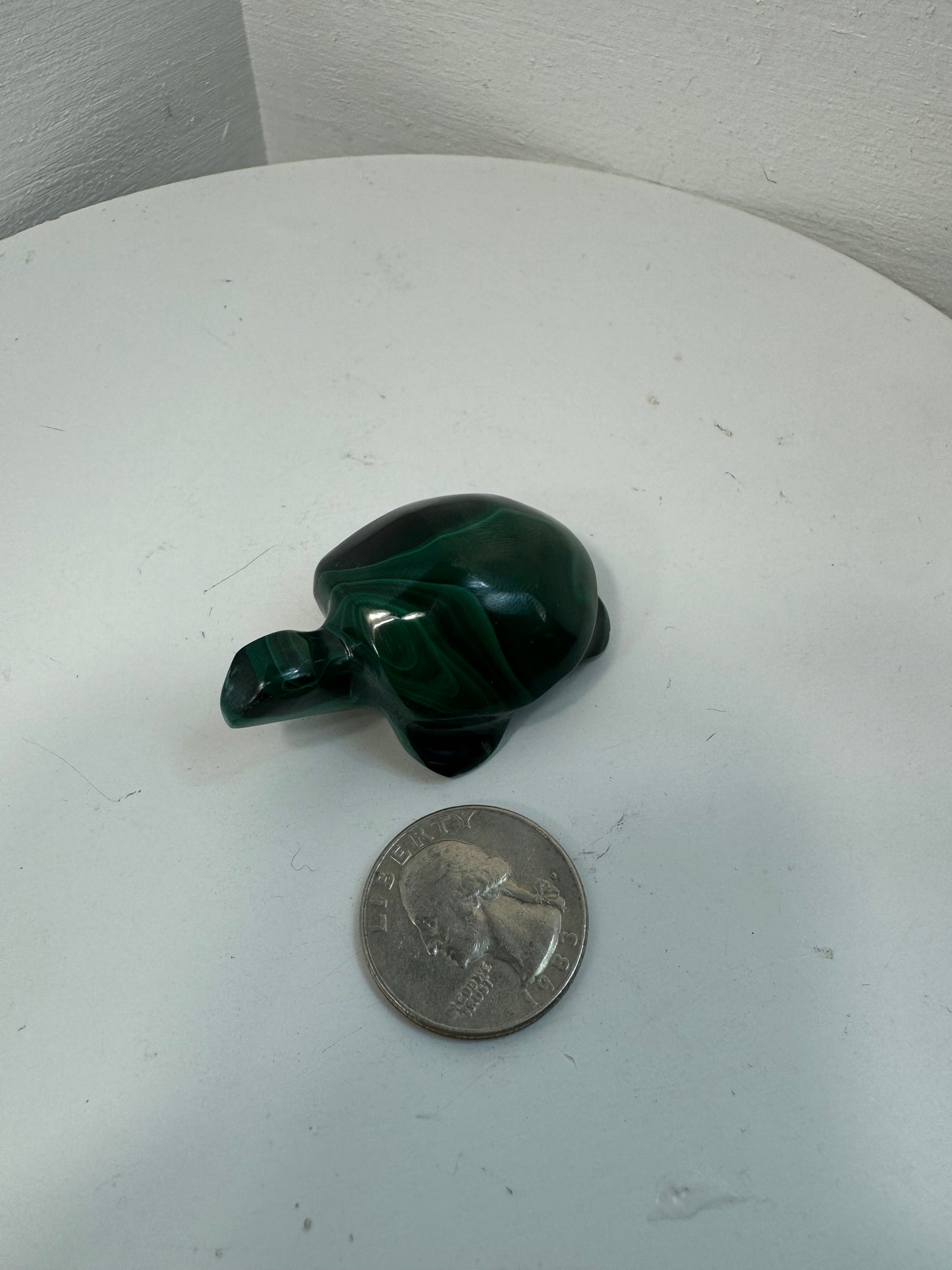MALACHITE TURTLE- Transformation, Protection, Growth
