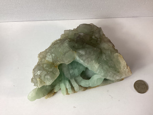 FLUORITE SCORPION-Focus, Transformation, and Protection