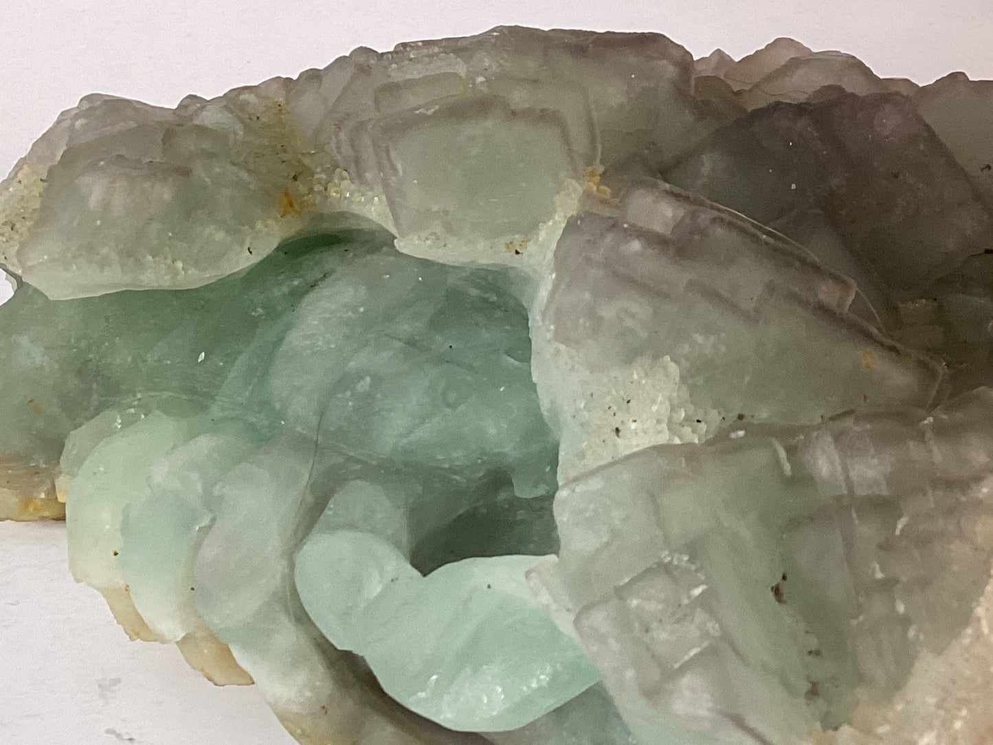 FLUORITE SCORPION-Focus, Transformation, and Protection