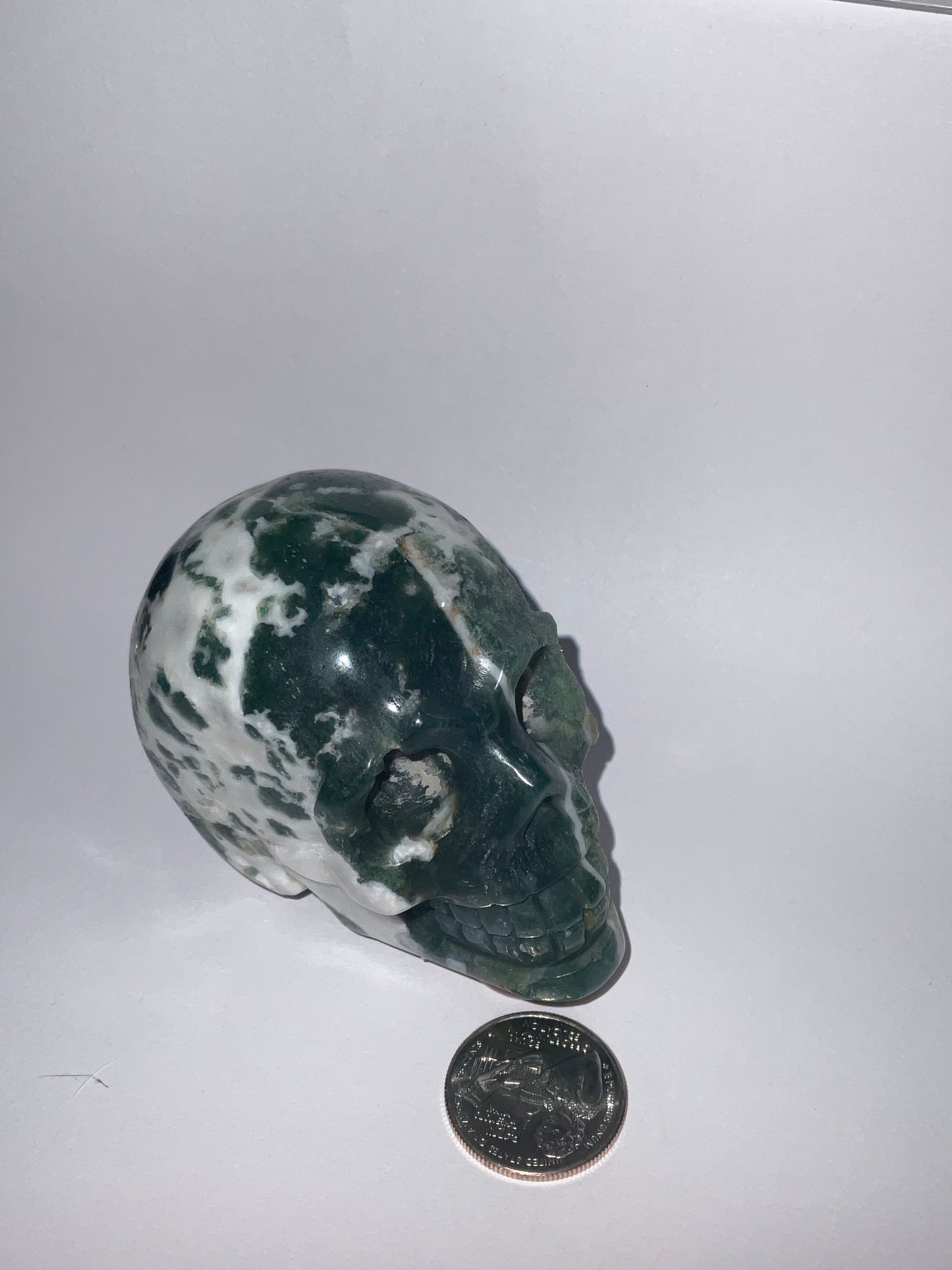 MOSS AGATE SKULL- abundance, growth, emotional healing