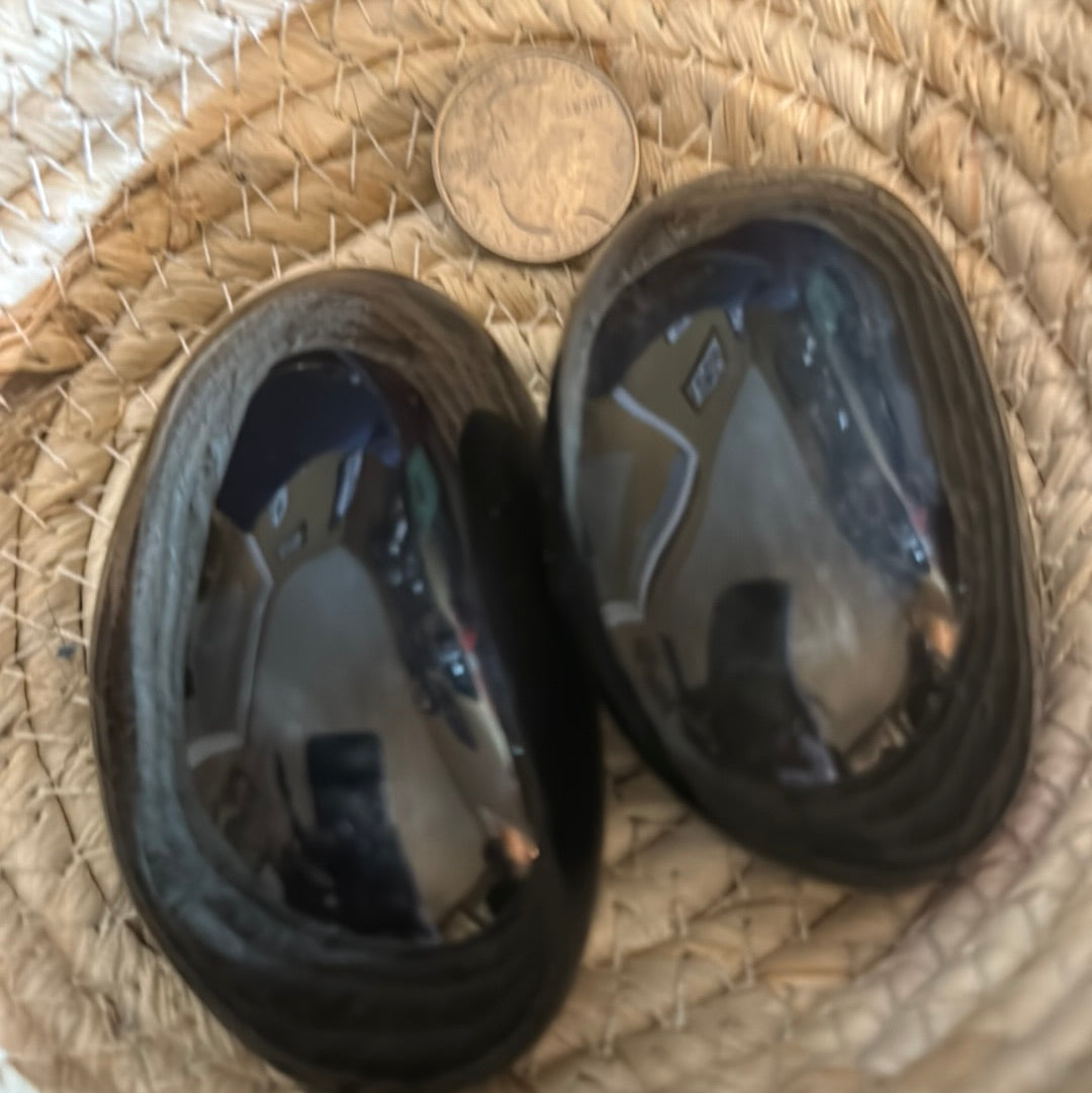 OBSIDIAN PALM STONE-growth, protection, transformation
