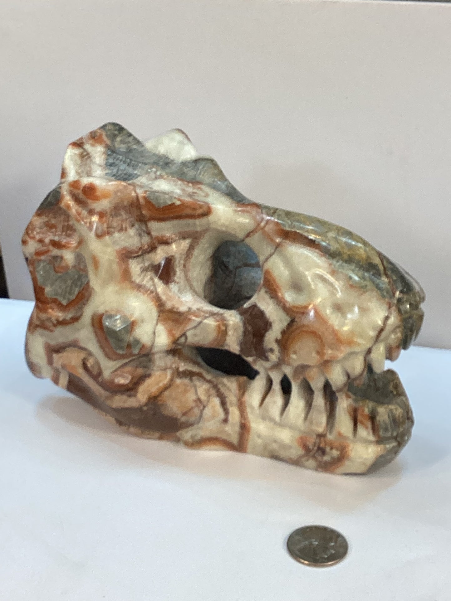 RED CRAZY LACE DINOSAUR SKULL-Strength, Vitality, and Grounding Energy