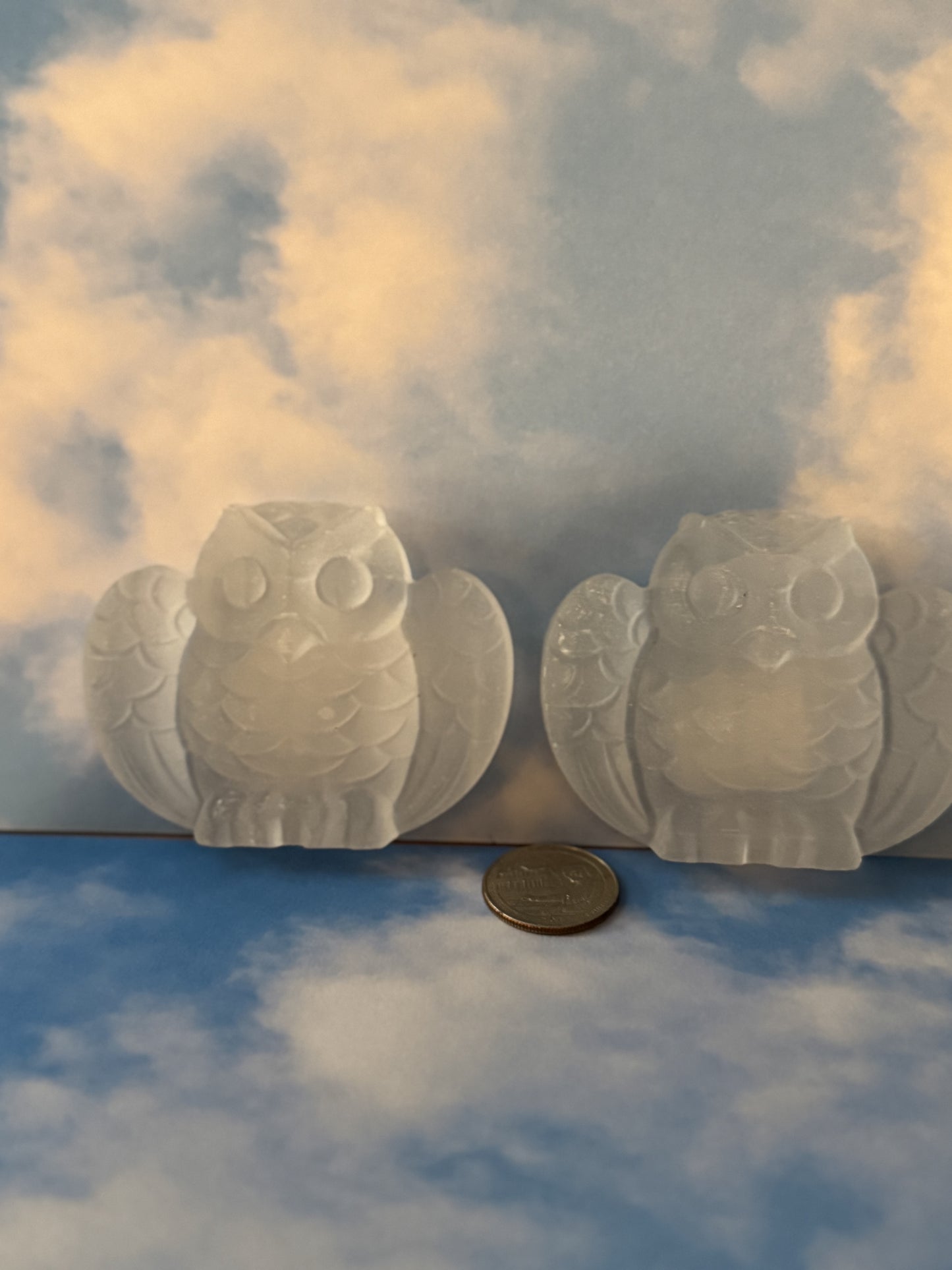 SELENITE OWLS-Wisdom, Protection, Spiritual Clarity